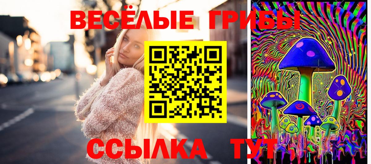 наркотики  Вход с VPN  Железноводск  Галлюциногенные грибы Magic Shrooms 