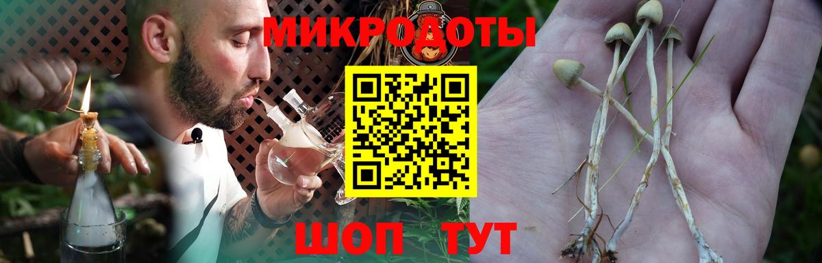 Галлюциногенные грибы прущие грибы Железноводск
